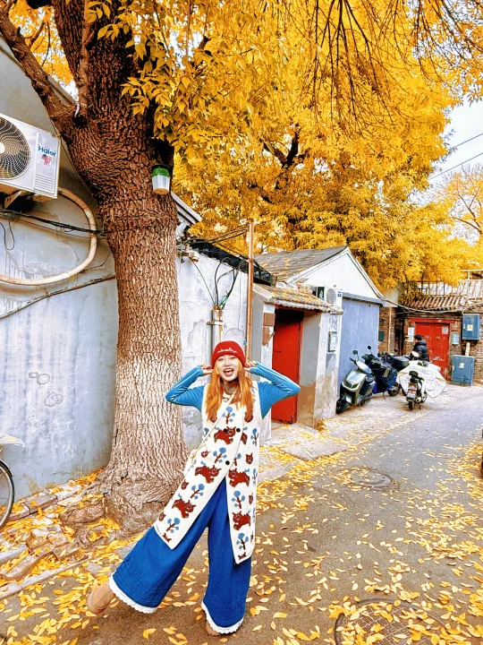日行2w步的北京胡同秋天🍂附拍照机位📸