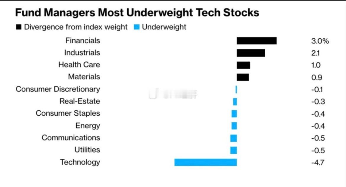 出于对人工智能泡沫及估值过高的担忧，主动型基金经理正在大规模削减对科技股的投资敞