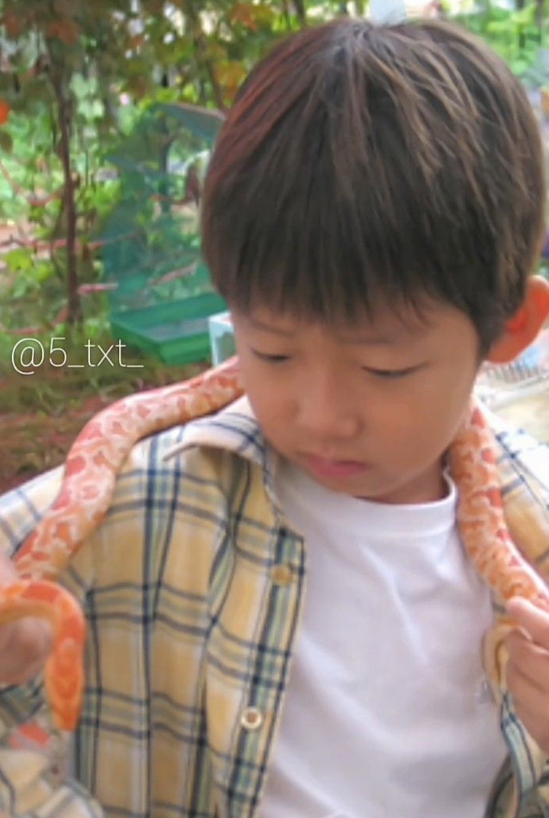 🦊&🐍cr：fairyO319 