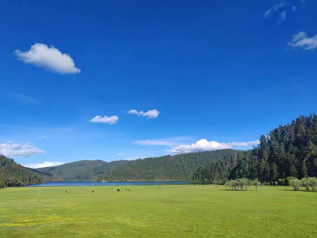 巷口修鞋的老周，铁皮工具箱磨得发亮，里面的钉子、胶水按大小码得整整齐齐。他的手艺