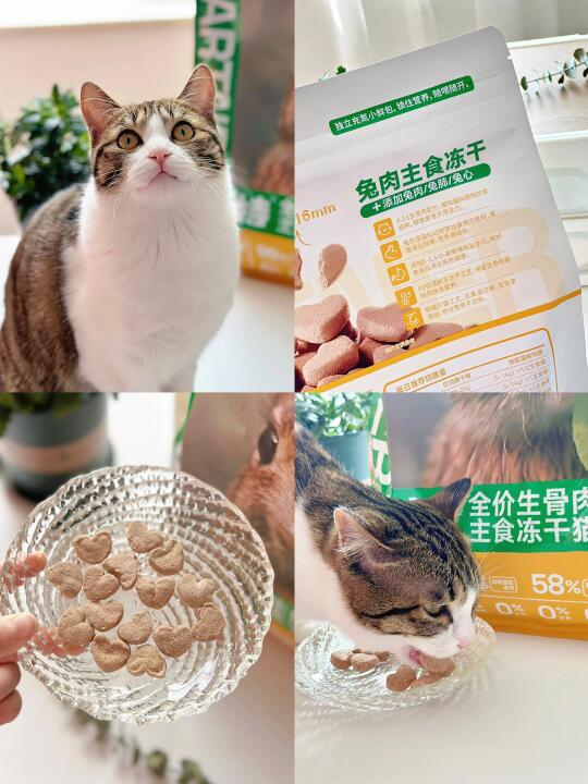 心形冻干暴击！挑食猫秒变干饭永动机！谁懂？