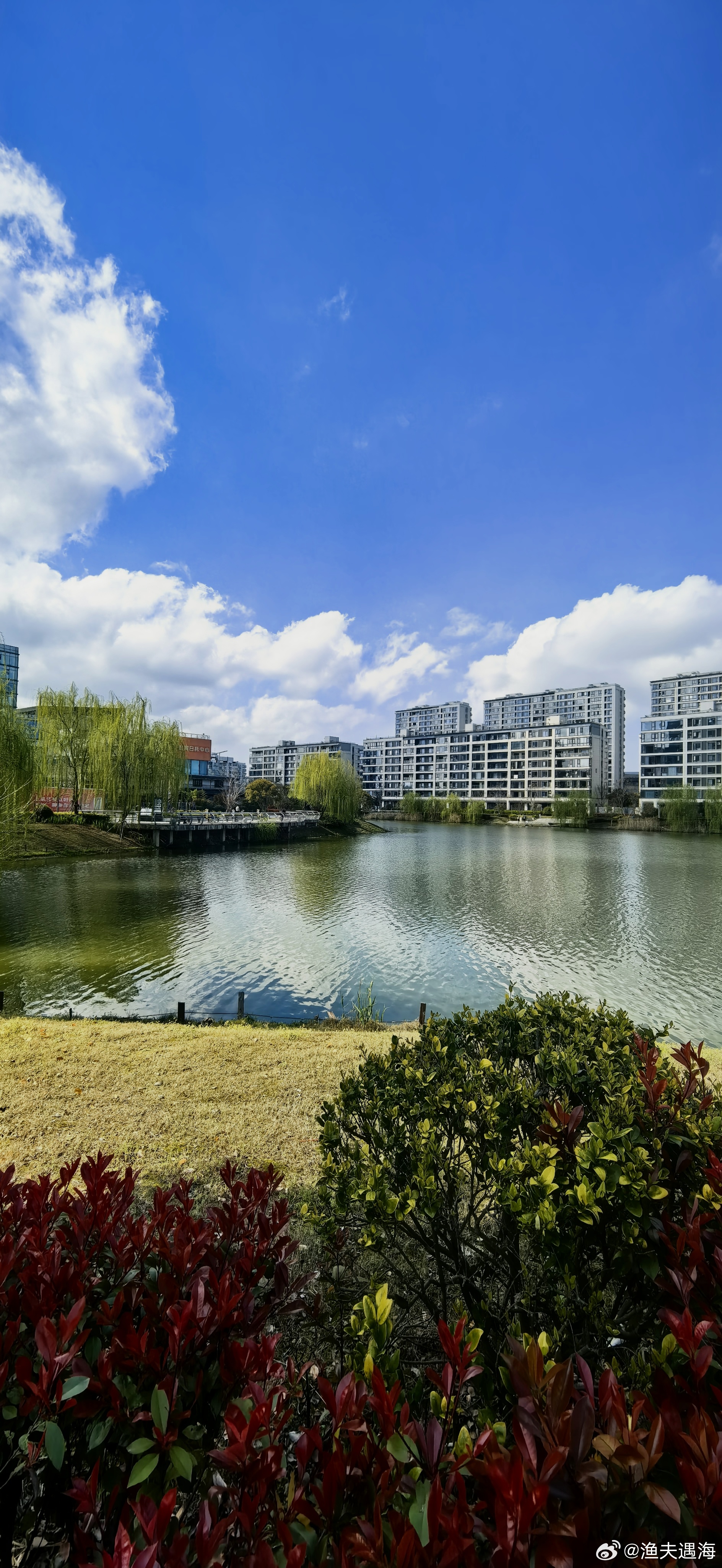 新壁纸  早安！ 