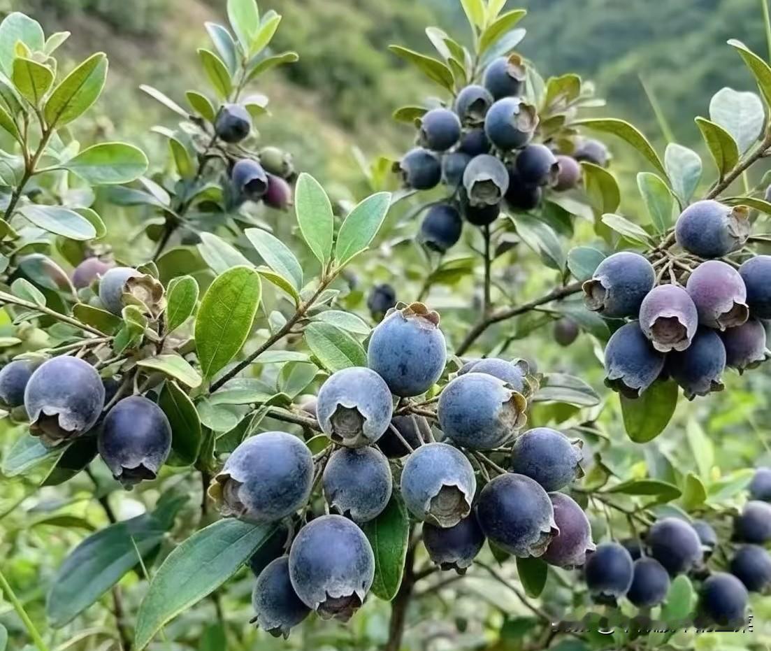 一根阳线改心态！止跌不等于反转，当下更要沉住气
 
连续几天的震荡调整过后，今天