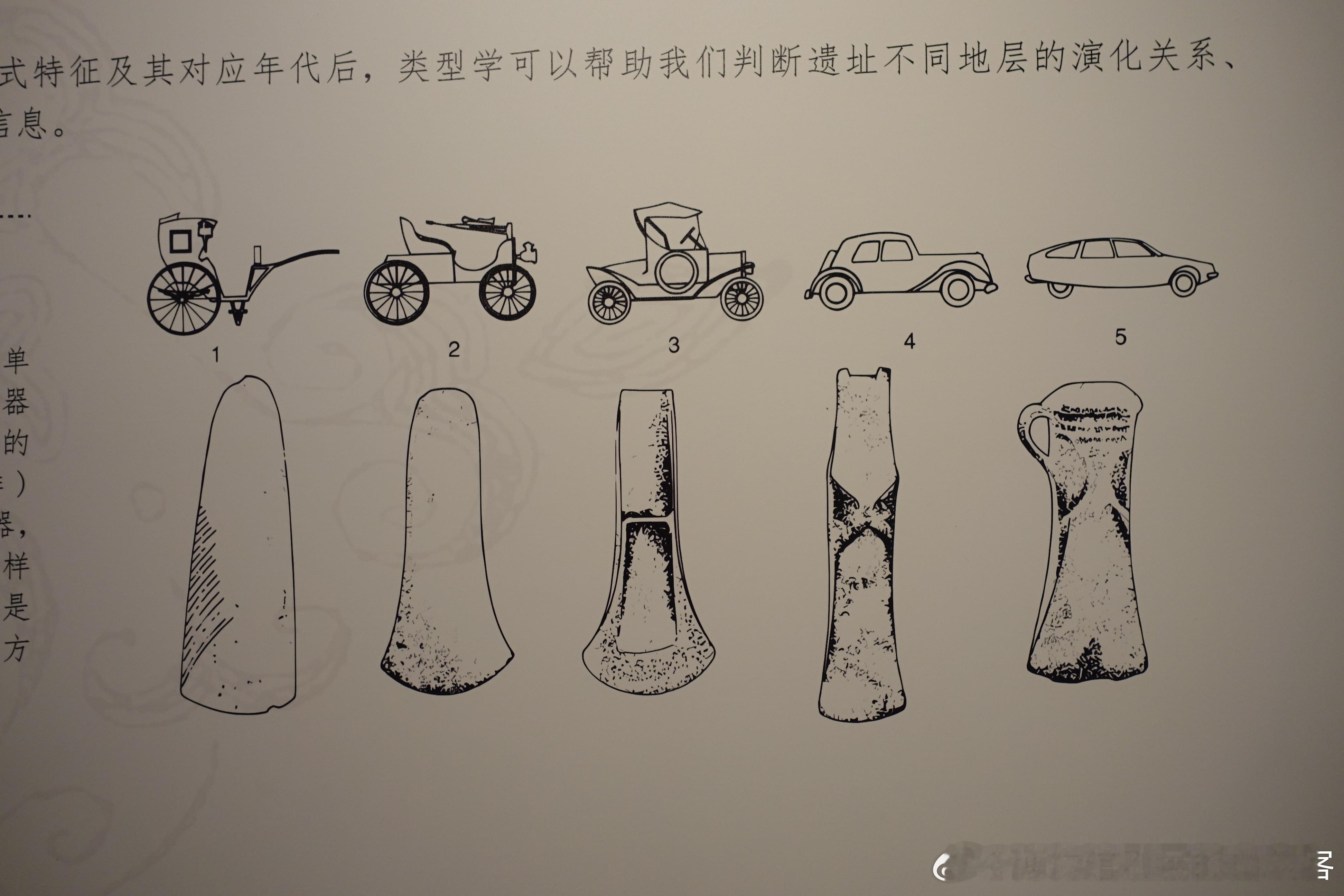 #白衣闲聊# 浙江大学艺术与考古博物馆的《造物之美》中，用一张图非常直观的说明了