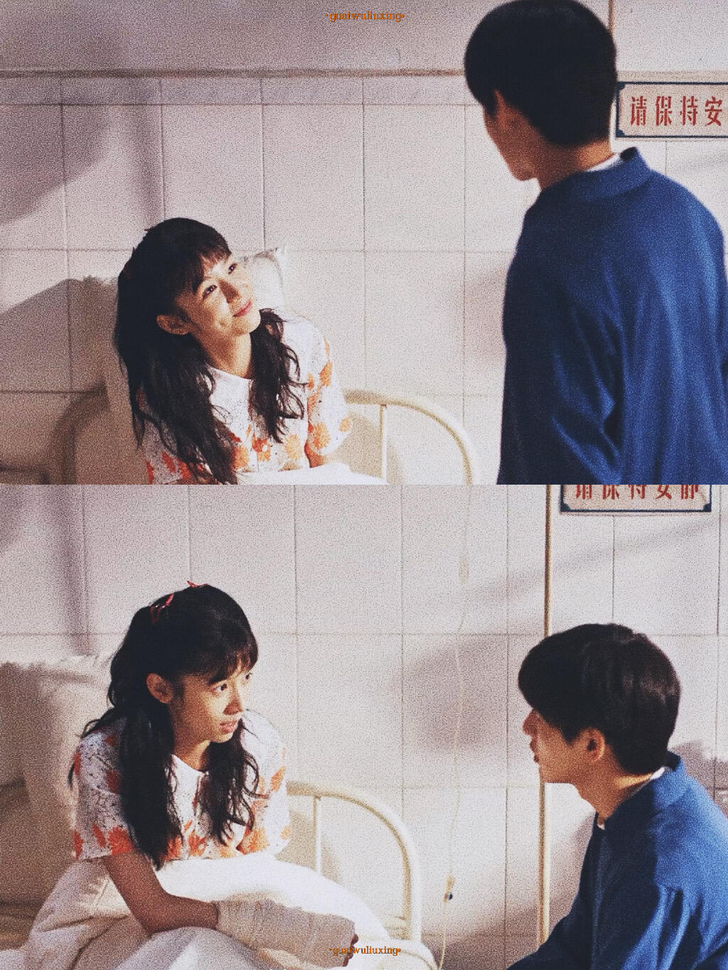 夏晓兰周诚萌萌狗次方这么萌的狗塑1983有两个 周也在这个剧好美，完全80年代明