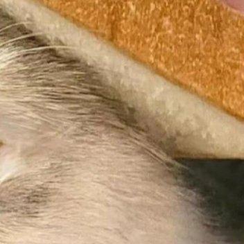 阳光信用 🌸阳光信用 每日‬一善 晨曦洒向山川，蝴蝶破茧于繁花间，海浪轻抚金沙