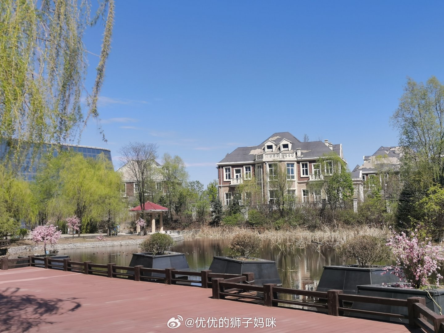 早安打工人！周五快乐！今天的班是上一秒少一秒，每努力工作一秒，离周末就又近了一步