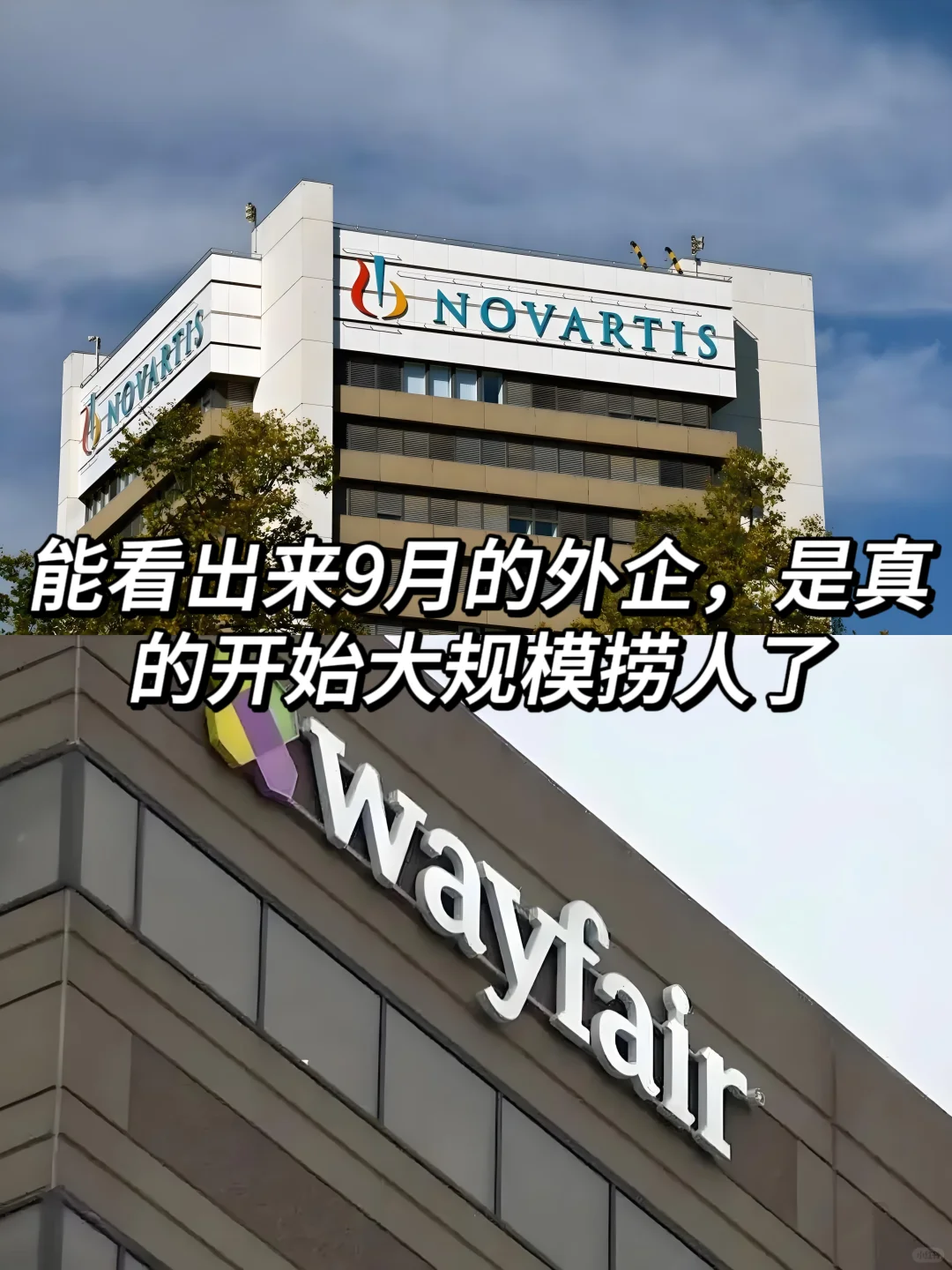 能看出来9月的外企是真的很缺人了