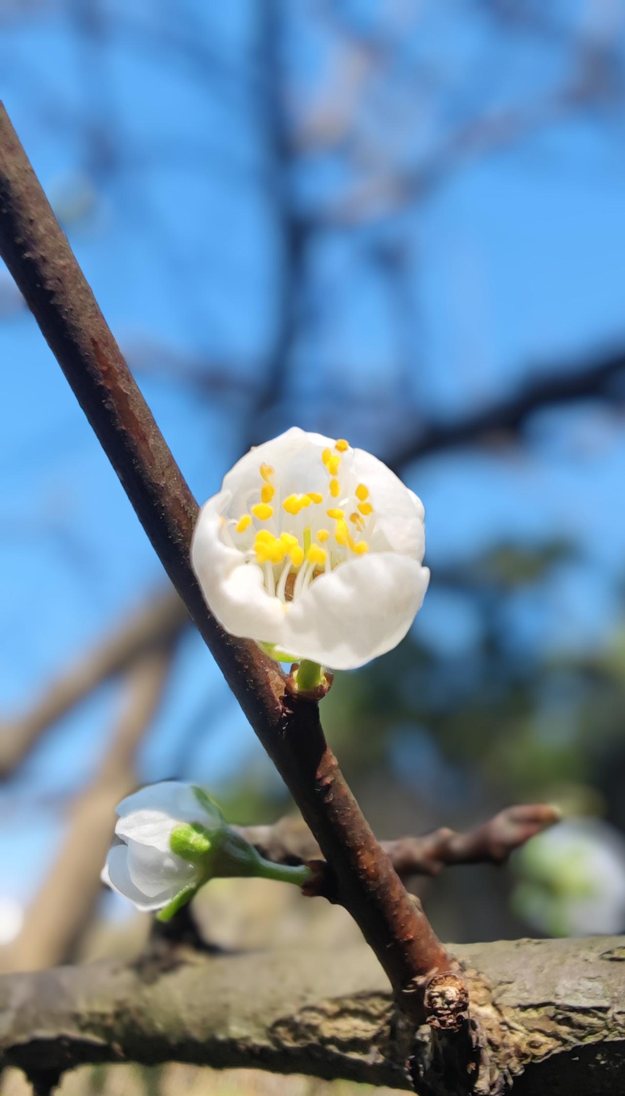 觉醒后，
你内在纯粹的心灵世界，
只有你自己，
没有别人！

就好比一面镜子，