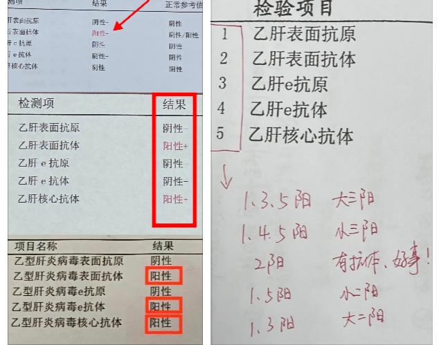 乙肝五项，这几项阳性是好事！。第2项表面抗体阳性：说明体内有保护性抗体，如果只有这一项阳性，多数是打疫苗的原因； 
第2、5项阳性：说明以前感染过乙肝，现在已经产生了保护性抗体；第二项表面抗体的滴度越高越好越安全。有很多网友看到阳性就以为自己感染了乙肝，其实只有第一项乙肝表面抗原阳性才说明感染了乙肝病毒，如果乙肝患者经过抗病毒治疗，出现2.5阳这个结果是理想的，说明实现了临床治愈。 
第2、4、5项阳性：说明以前感染过乙肝，现在正处恢复期，需要定期复查，暂时不要擅自停药，需要根据检查结果，在