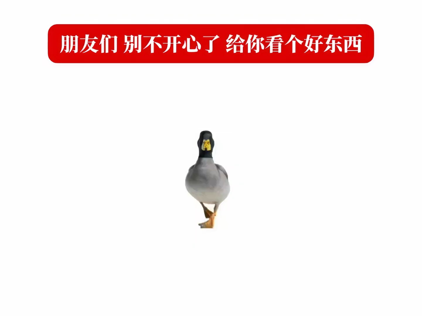 ？谁来管管 
