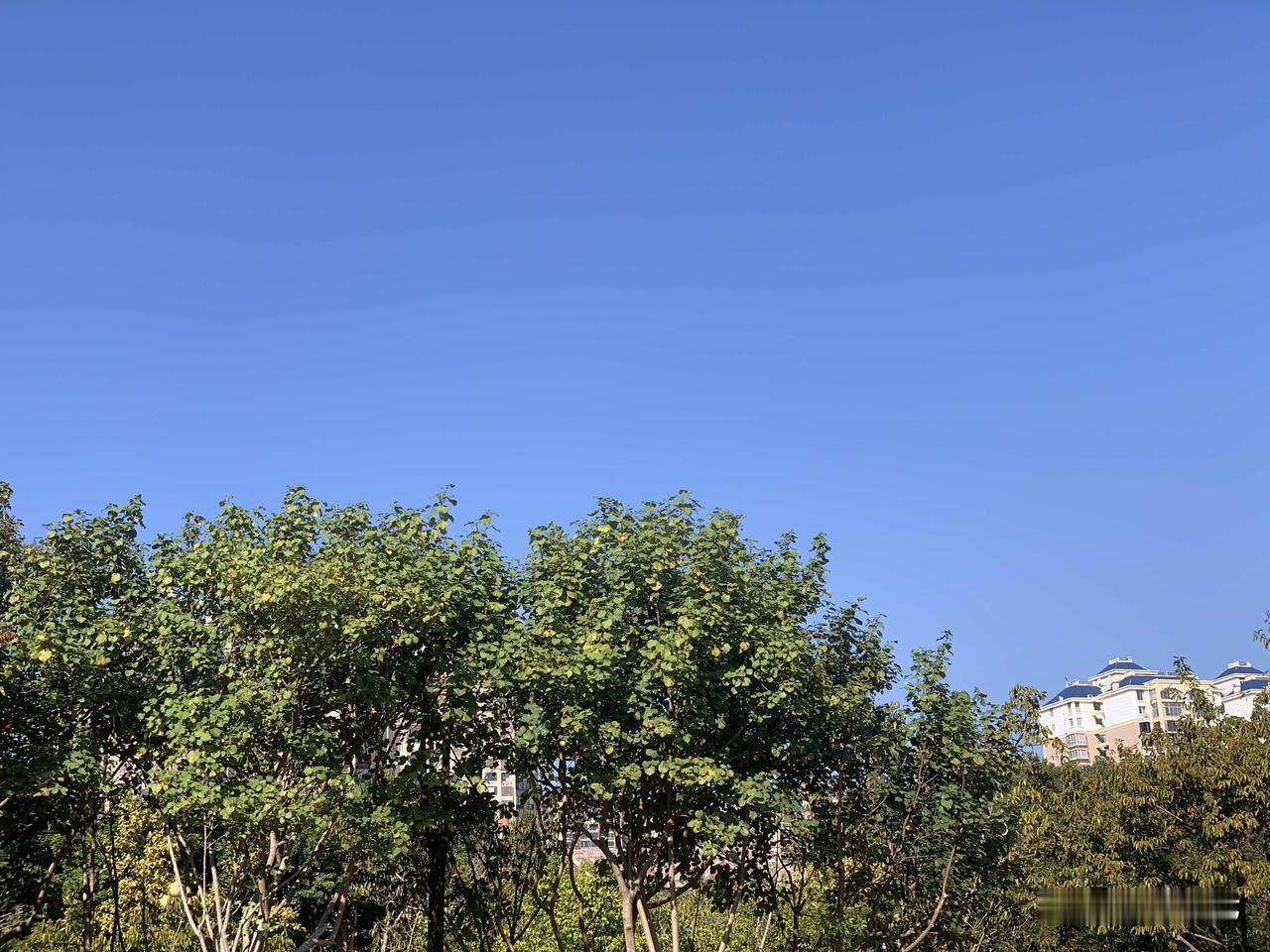 你觉得中年人的压力主要来自哪里经济压力