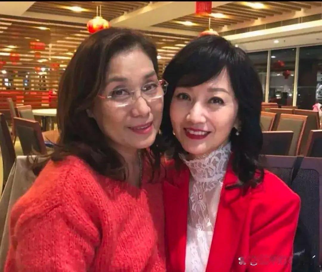 赵雅芝与姐姐赵雅倩享受欢乐时光，姐妹情谊深厚。两人温柔笑容映衬出无尽的温暖和默契