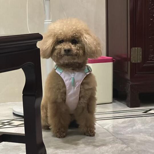 往那一站就是兵