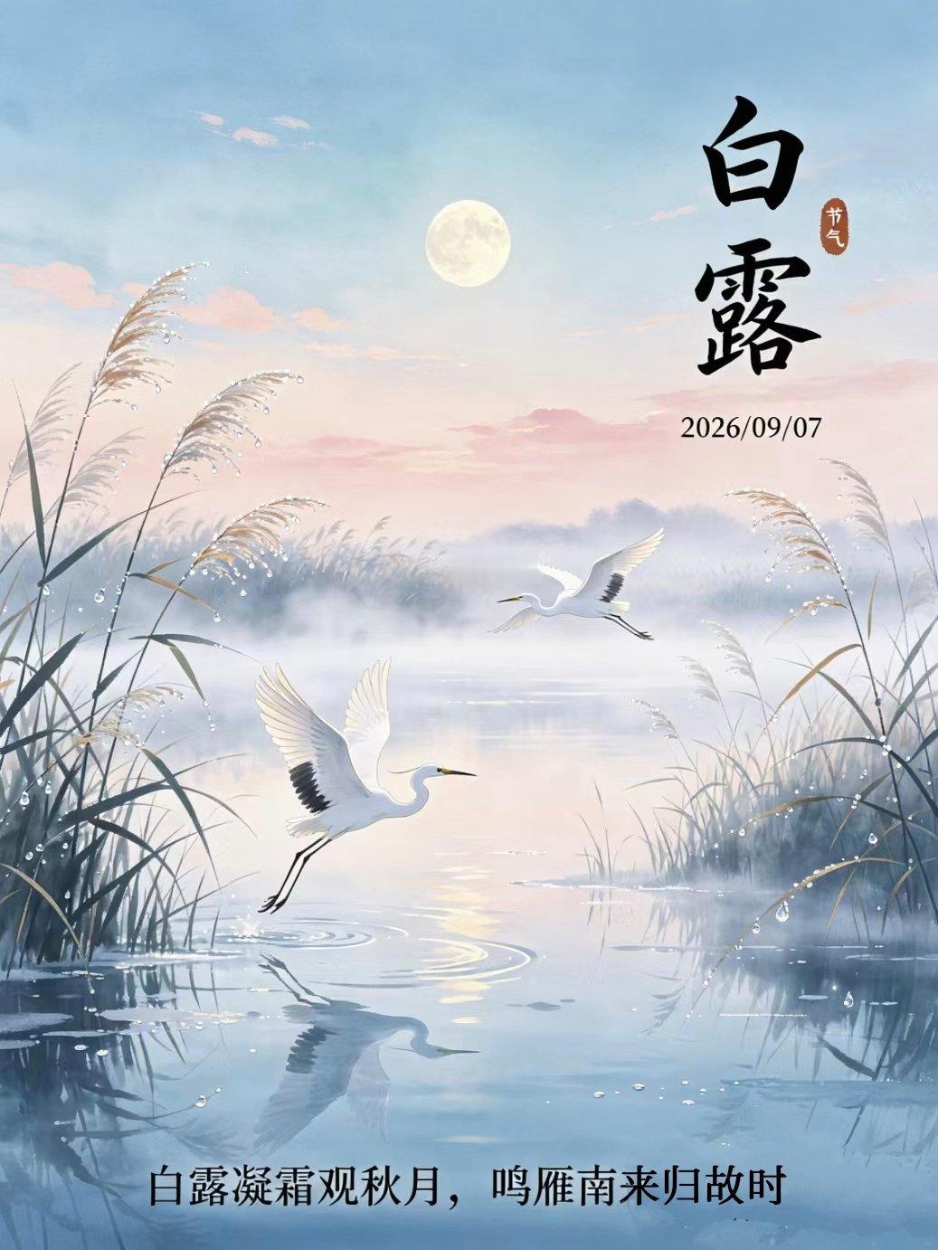 【今日，白露】蒹葭苍苍，白露为霜。所谓伊人，在水一方。伴随着微凉的秋风，一个充满
