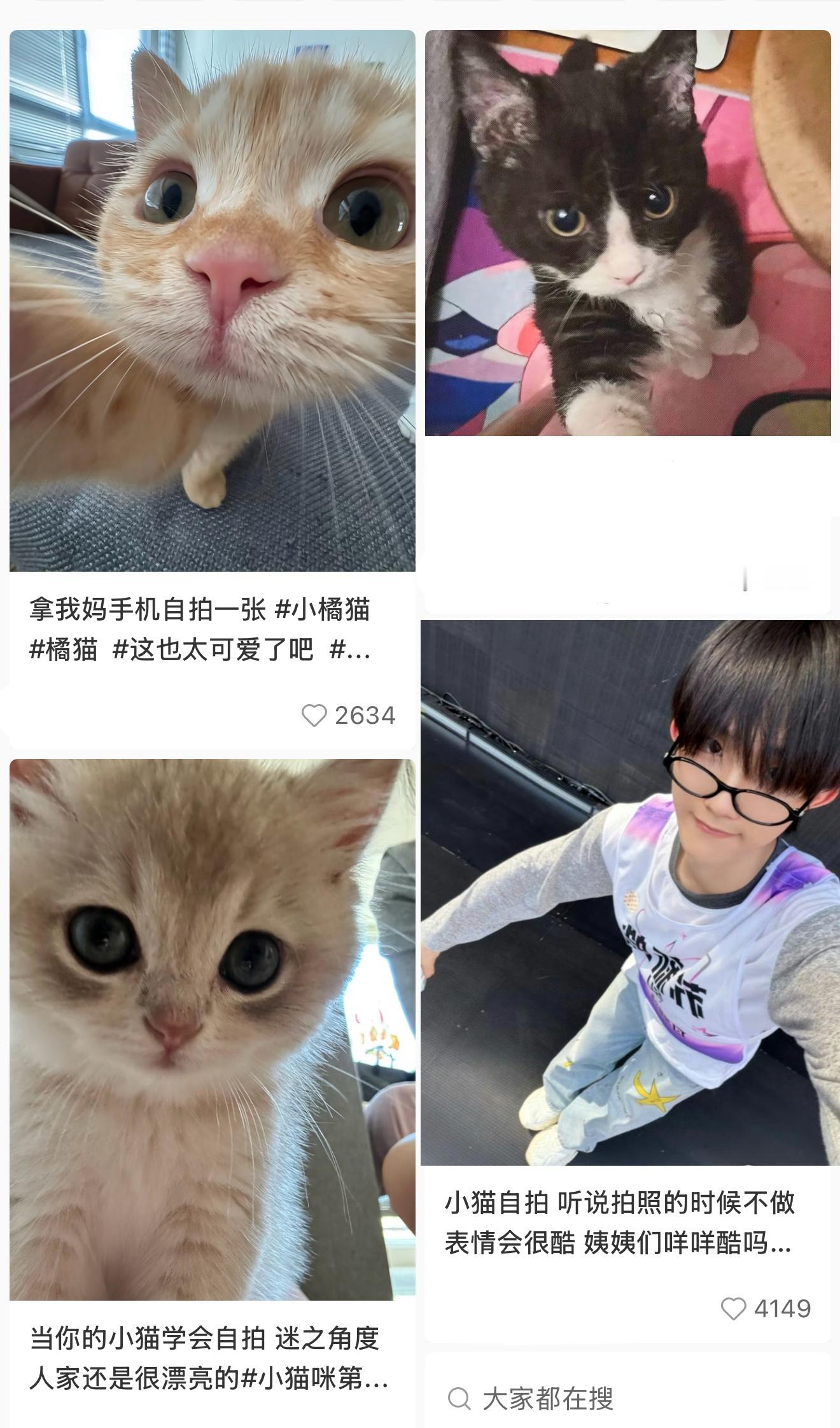 苏新皓小猫自拍视角 苏新皓小猫自拍视角，这个完全萌物来的吧，真的有被可爱到呀~ 