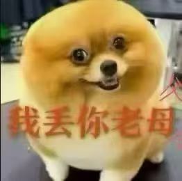 ​​​