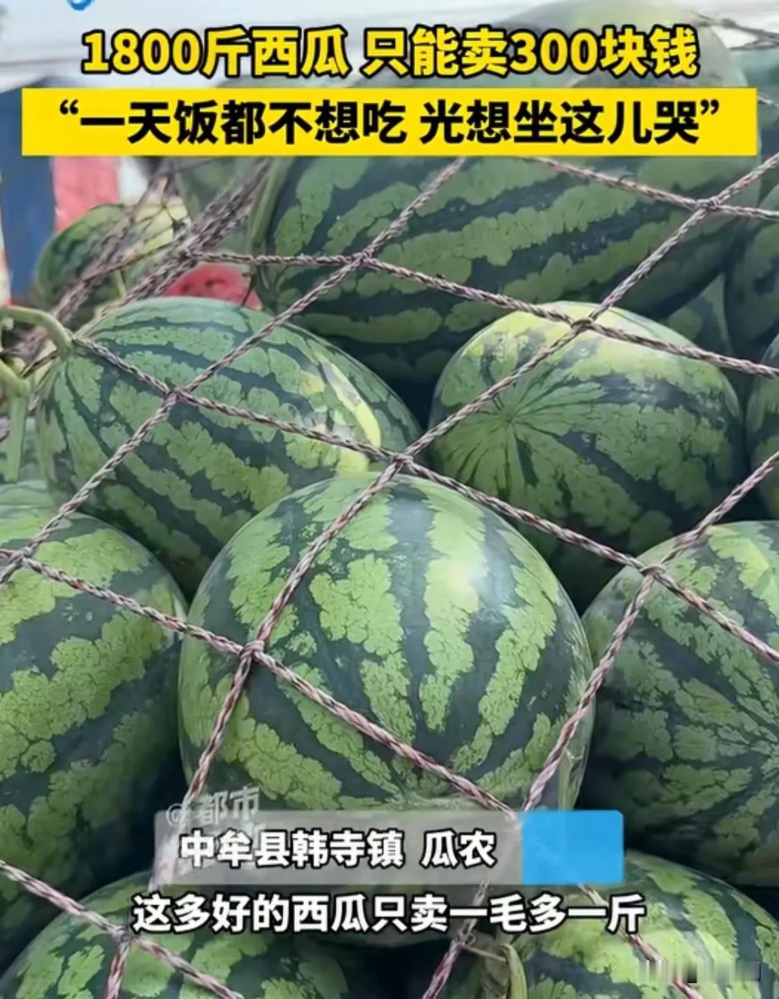 今天在楼下超市买了一个西瓜，不到10斤花了50块，说是特殊品种口味不一样。看了看