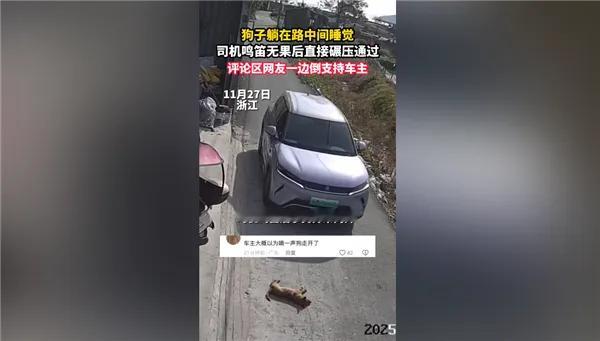 幼犬熟睡遭碾压引爆全网怒火！温州两月大幼犬马路熟睡被径直碾压，司机多次鸣笛后未绕