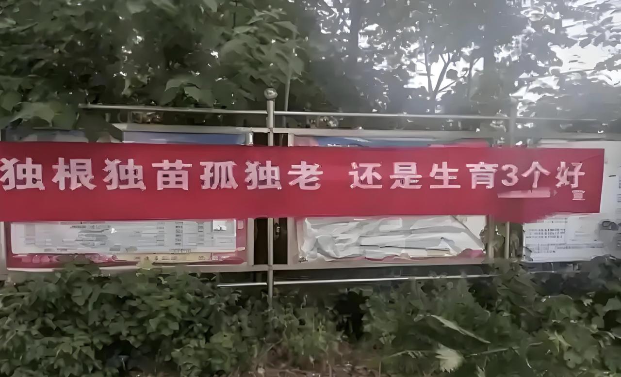 从长远来看，当一个国家面临人口老龄化和生育率下降的挑战之时，其国家的国际地位和影