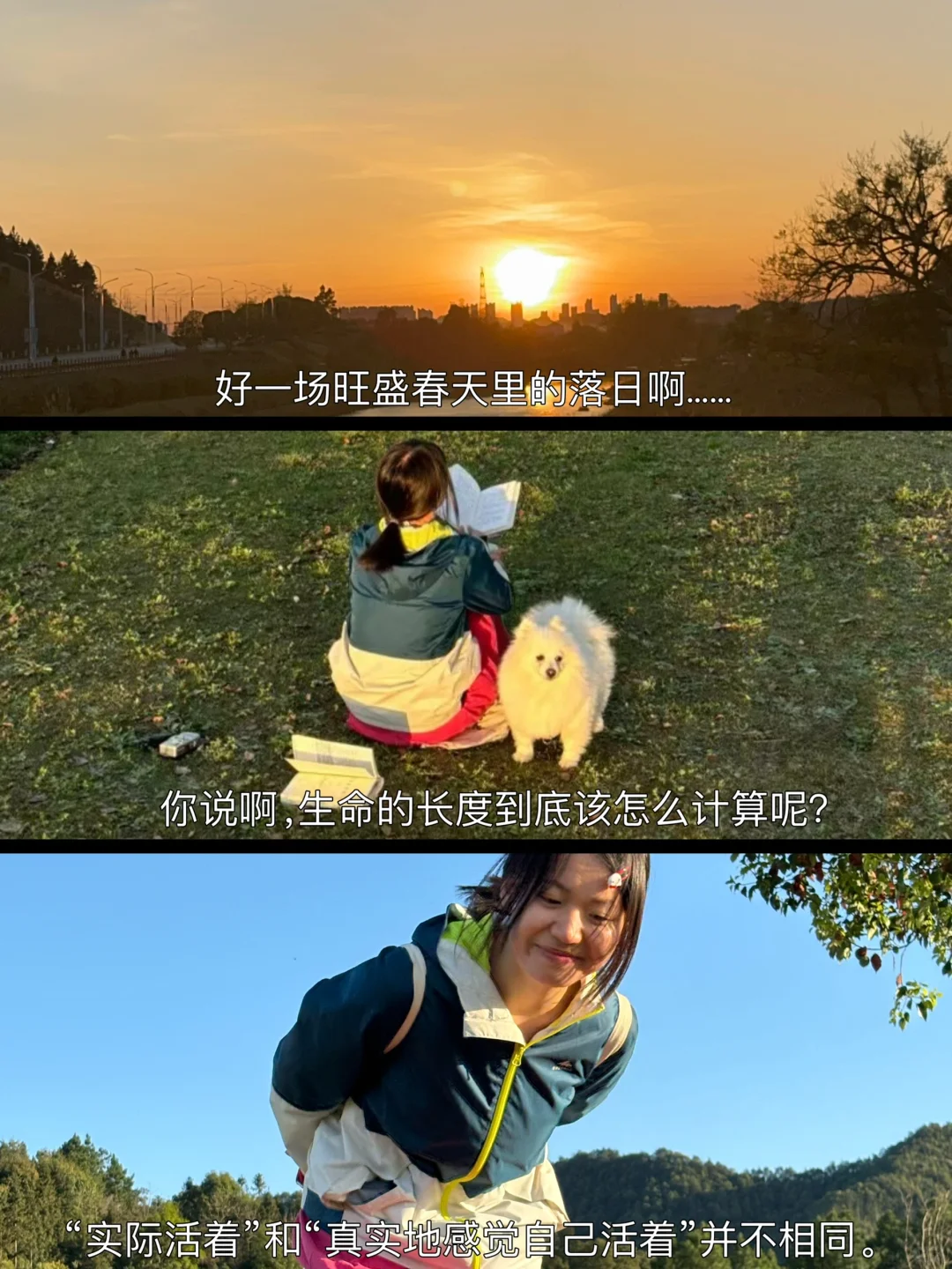 停止对日落的期待，也是一种死亡。