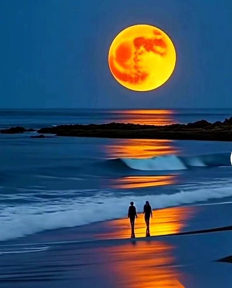 刚刷到一个女的，35岁，离异，在视频里哭得那叫一个撕心裂肺。
说自己肠子都悔青了