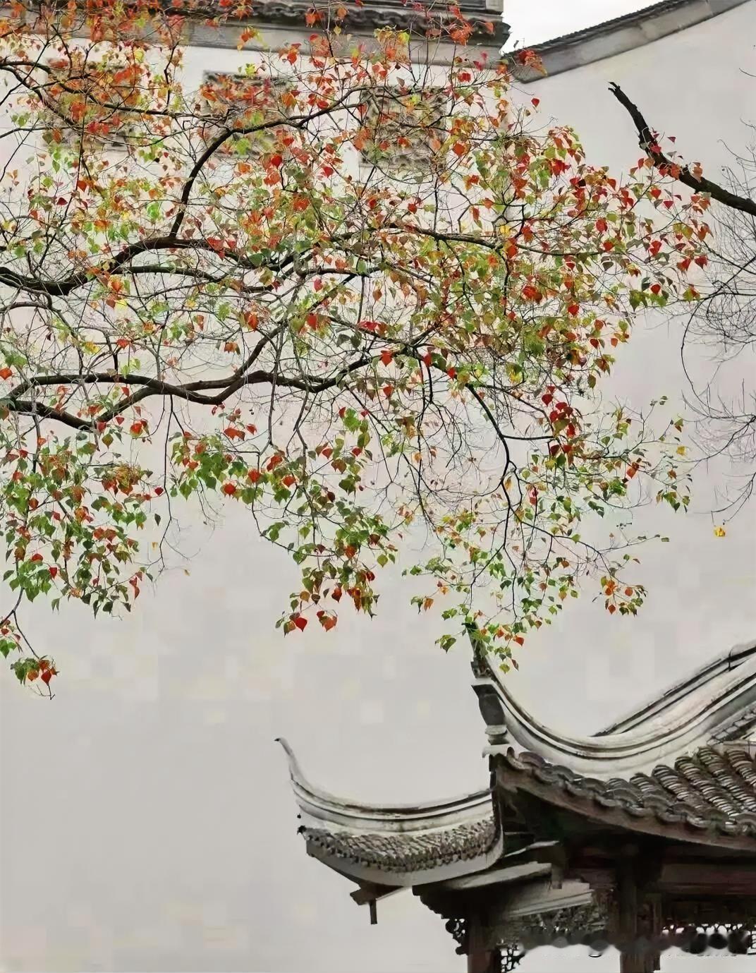 下联：花开花谢两匆匆
上联：有请雅士[玫瑰][玫瑰][玫瑰]