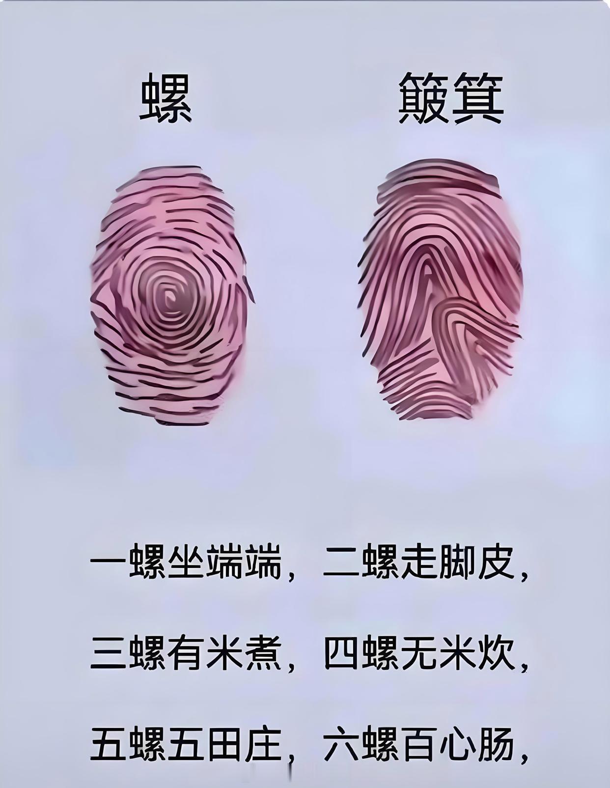 快看看你们的手指有没有一螺穷，二螺富，三螺四螺开当铺，五螺六螺把官做，七螺八螺能