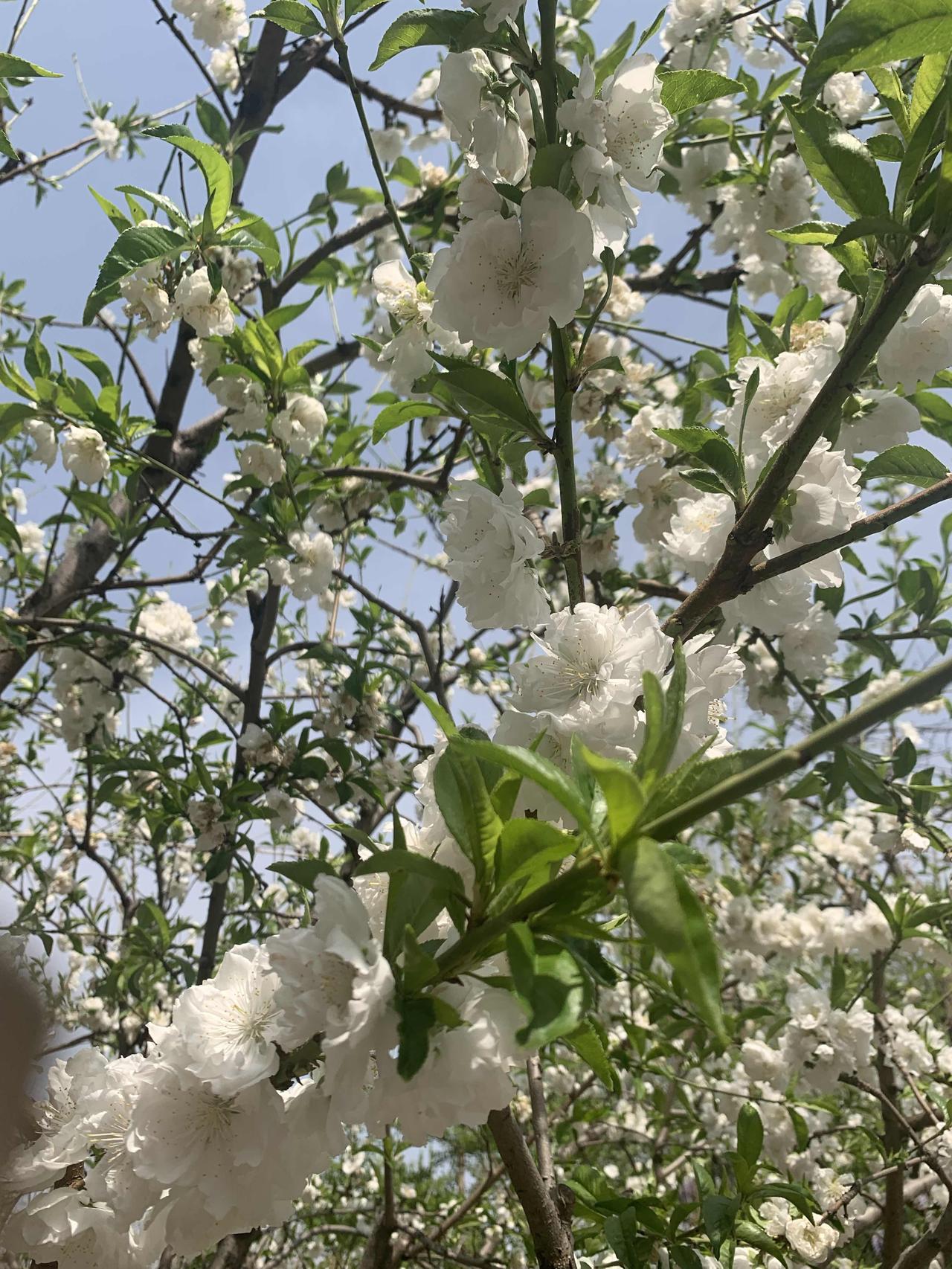 小舅子爱人辞职了，专门在家抖音直播带货。不知道具体一个月能挣多少钱，但她说比上班
