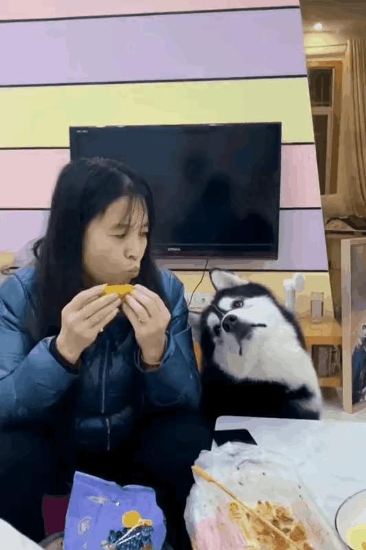 图1：天天说减肥，天天说减肥的！也没有见少吃一口。
图2：人群中多看一眼，爱情就