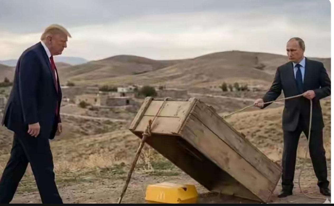 美国加州州长纽森办公室发的图片，有两点感受：1、纽森上辈子跟特朗普肯定有什么血海