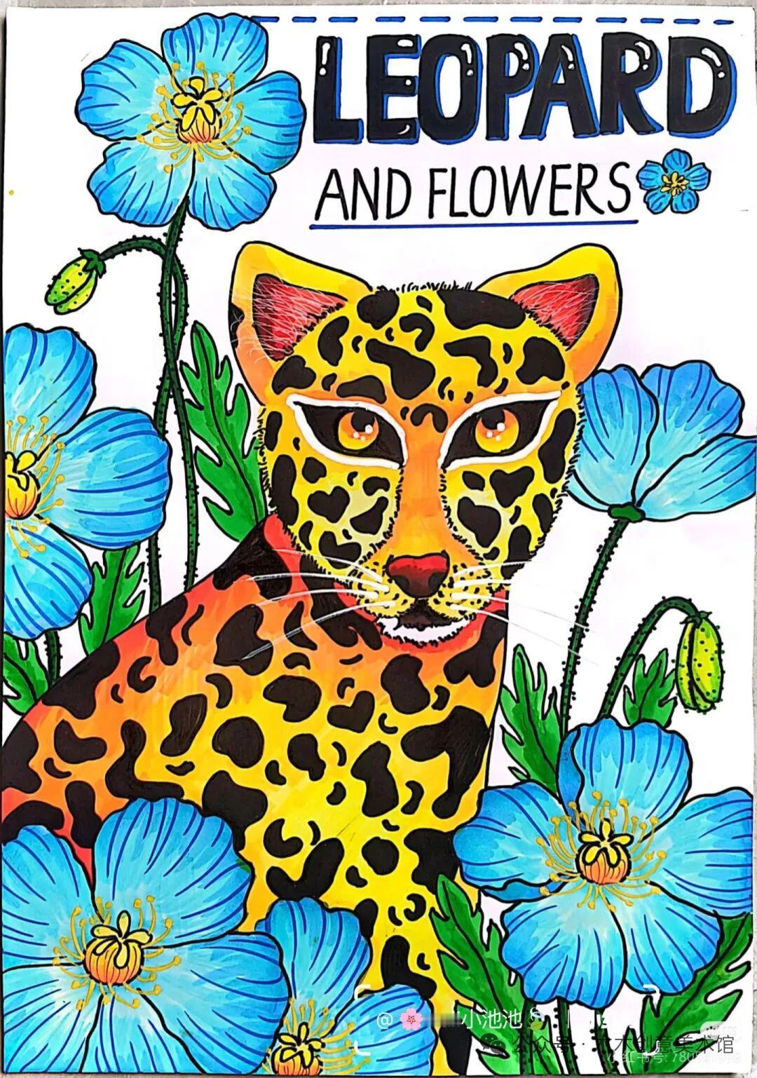 （图片来自网络，仅作分享，如有侵权请联系删除哦）