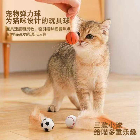 🐱逗猫神器上线！消耗体力超赞
