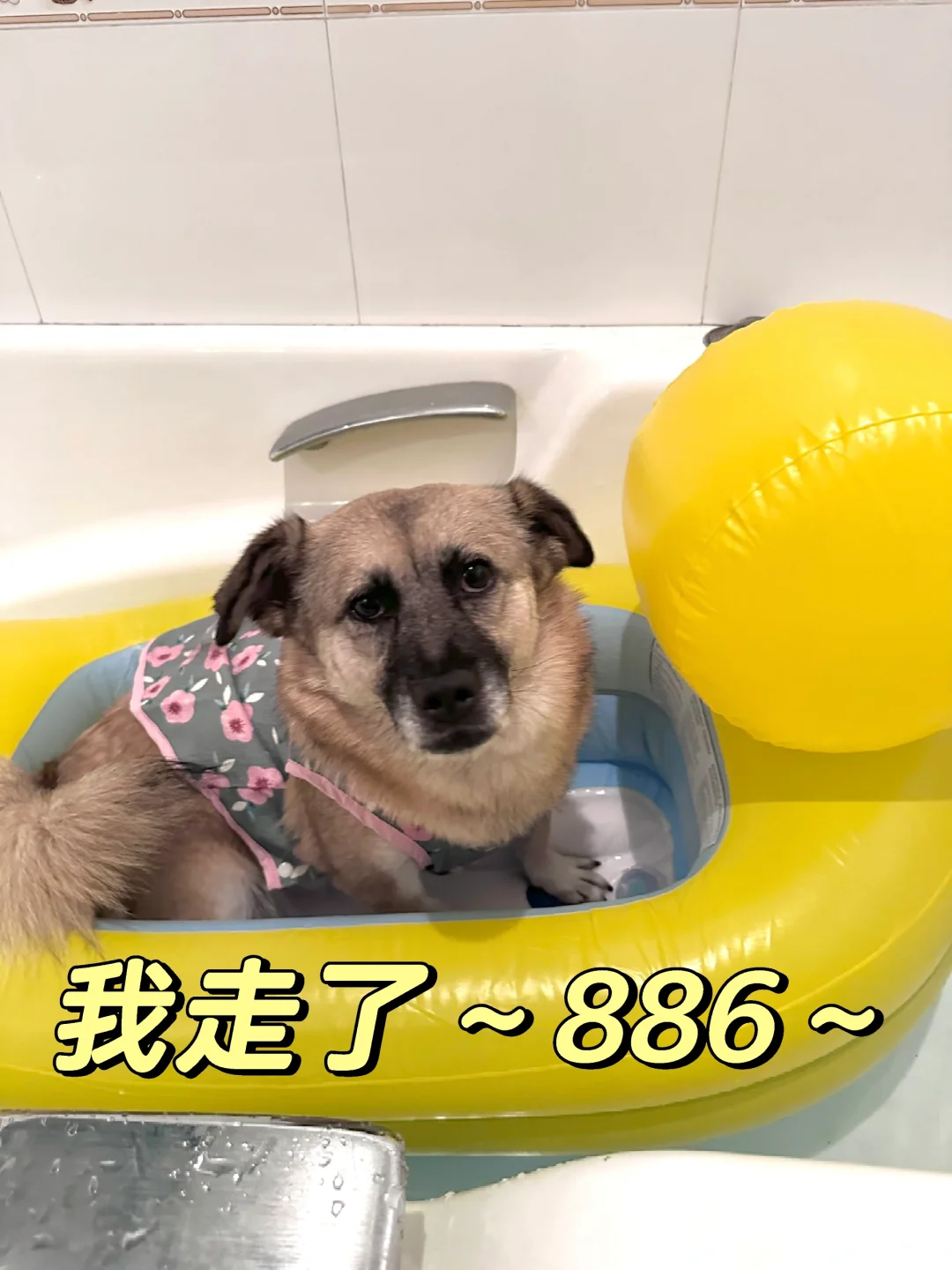 小水手启航啦