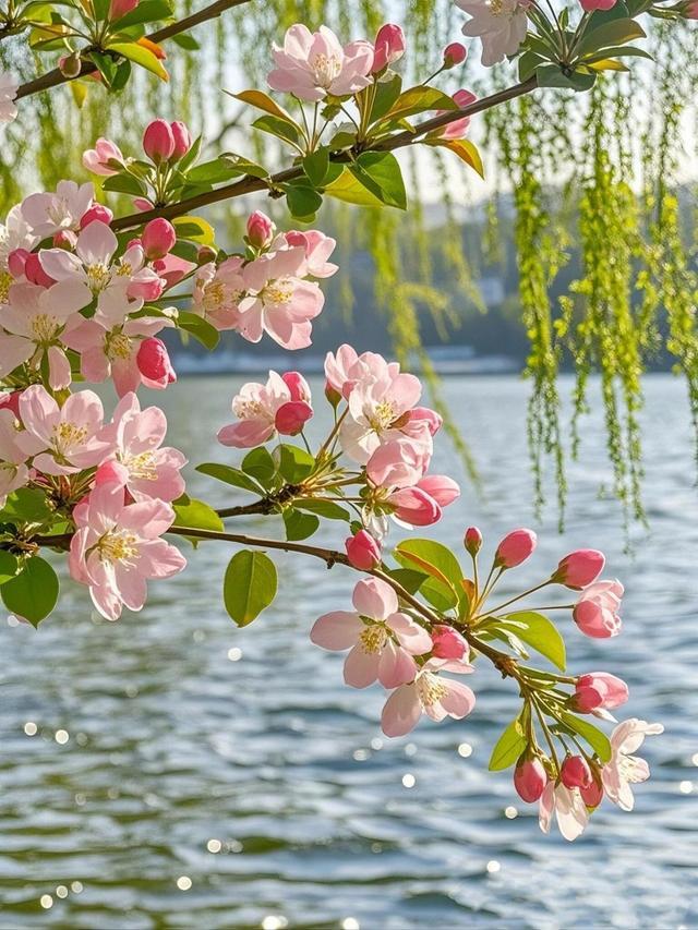 风终于卸下了冬日的凛冽，裹着软乎乎的暖意撞进怀里，连风里都带着青草与花苞的清甜。