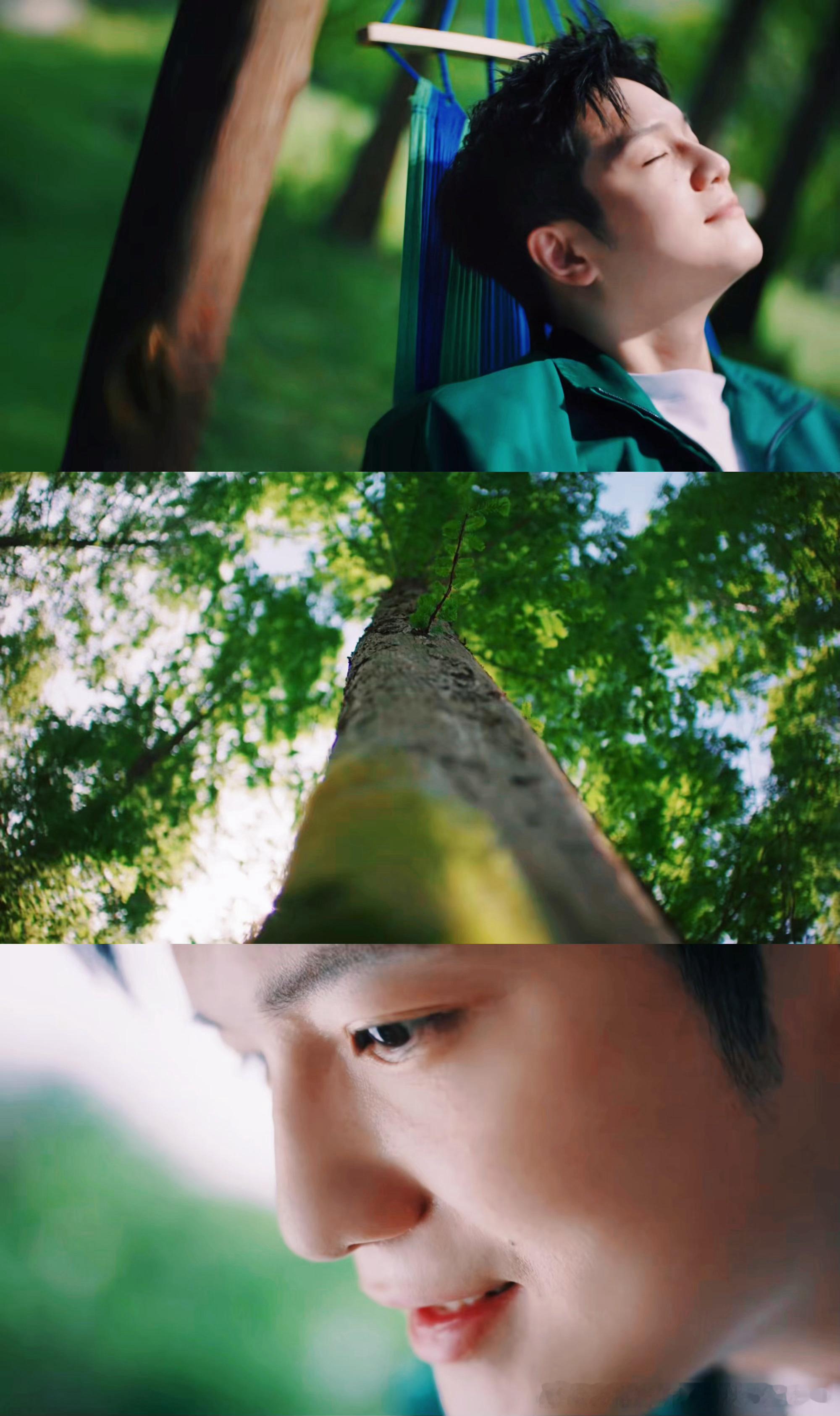 还是忍不住开始截图修图了小樊多和大自然待在一起吧💚说起来“樊”姓氏给人的第一印