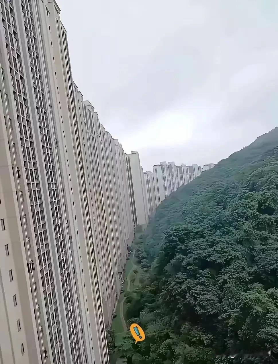 妈呀，这房子设计得也太牛 逼了吧！不知道的人，还以为是一座偌大的悬崖峭壁呢[狗头