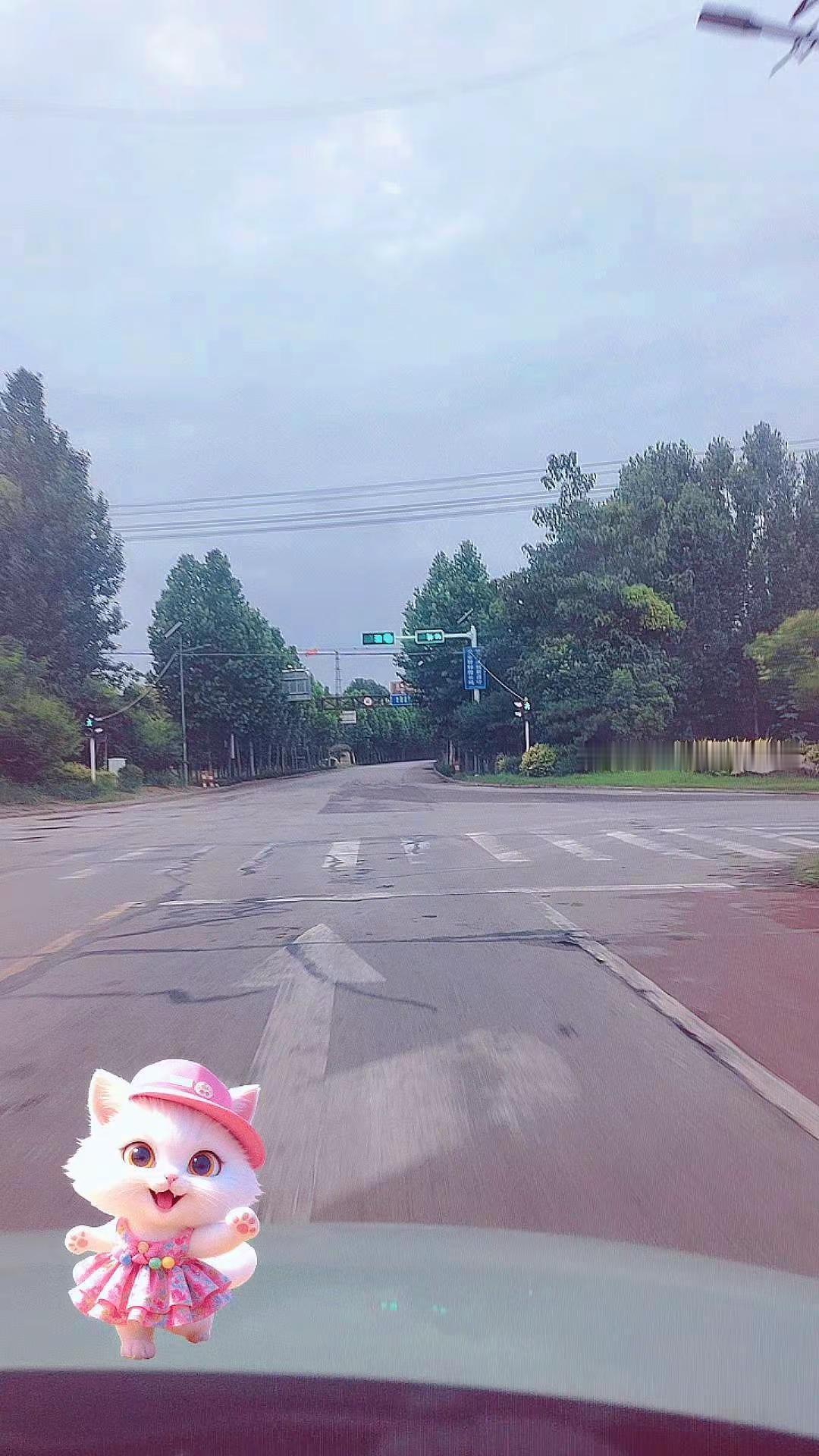 眼皮现在在热恋期，时时刻刻想腻在一起🫣🫣🫣路拍随记