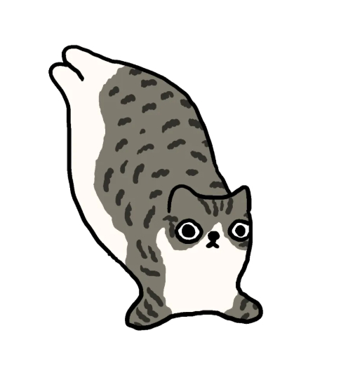 盛夏壁纸大放送动漫仲夏狂欢季 🐱 
