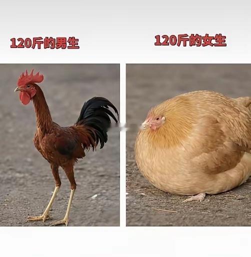 好像真是这样哎