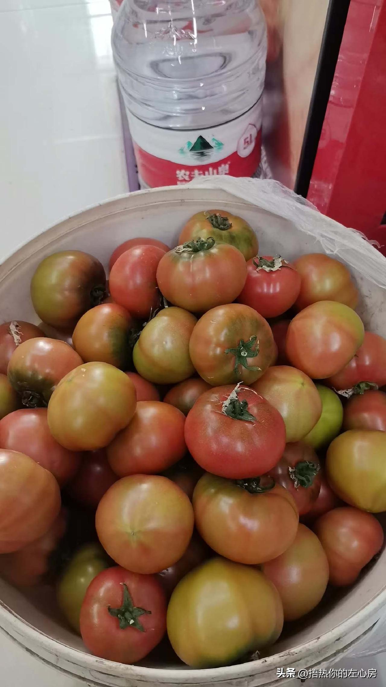 还是老品种的西红柿，吃着最对味儿

今天买到了一筐这种带绿肩的西红柿，真的太合心