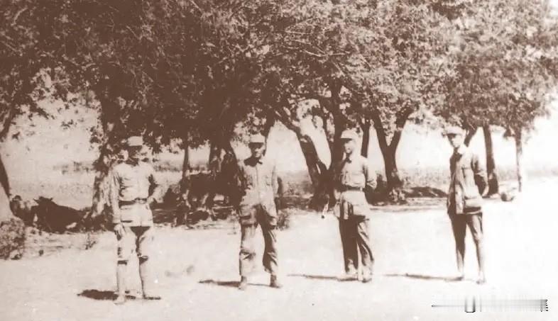 1939年7月，正值抗日战争进入相持阶段的关键时期。在中原局的统一部署下，张爱萍