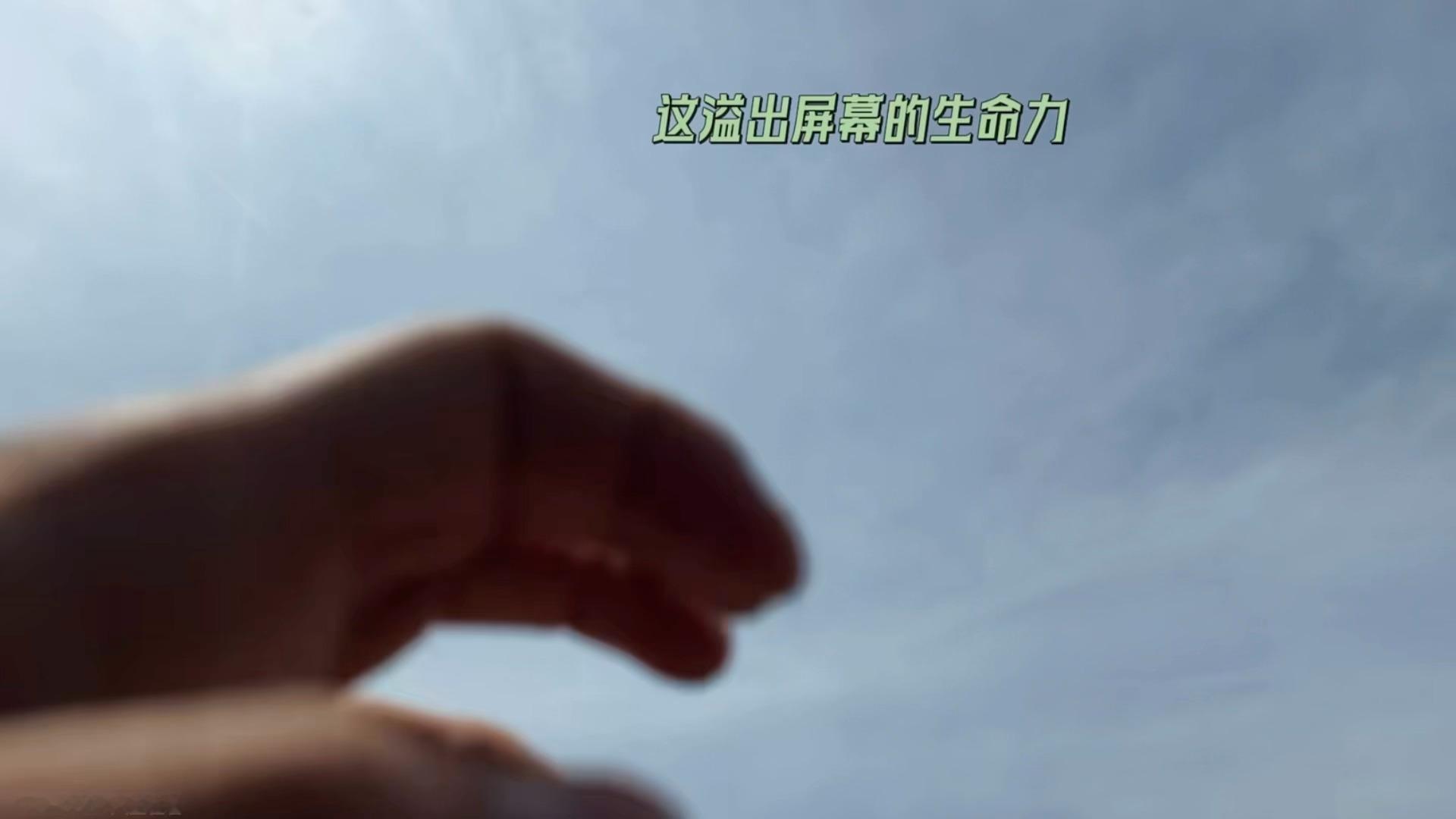 《生命力》 