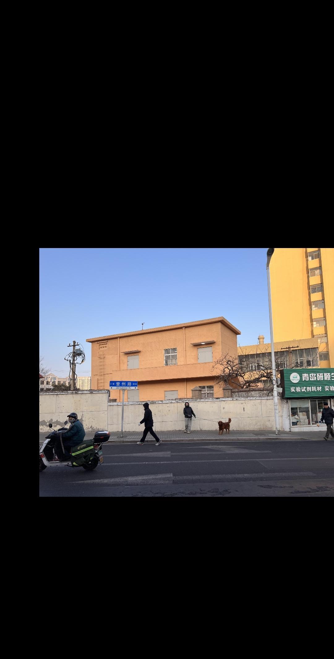 于海青：为何说不养狗的人很难懂狗的灵性？那天我在街头拍摄， 因此来回穿行，有一条