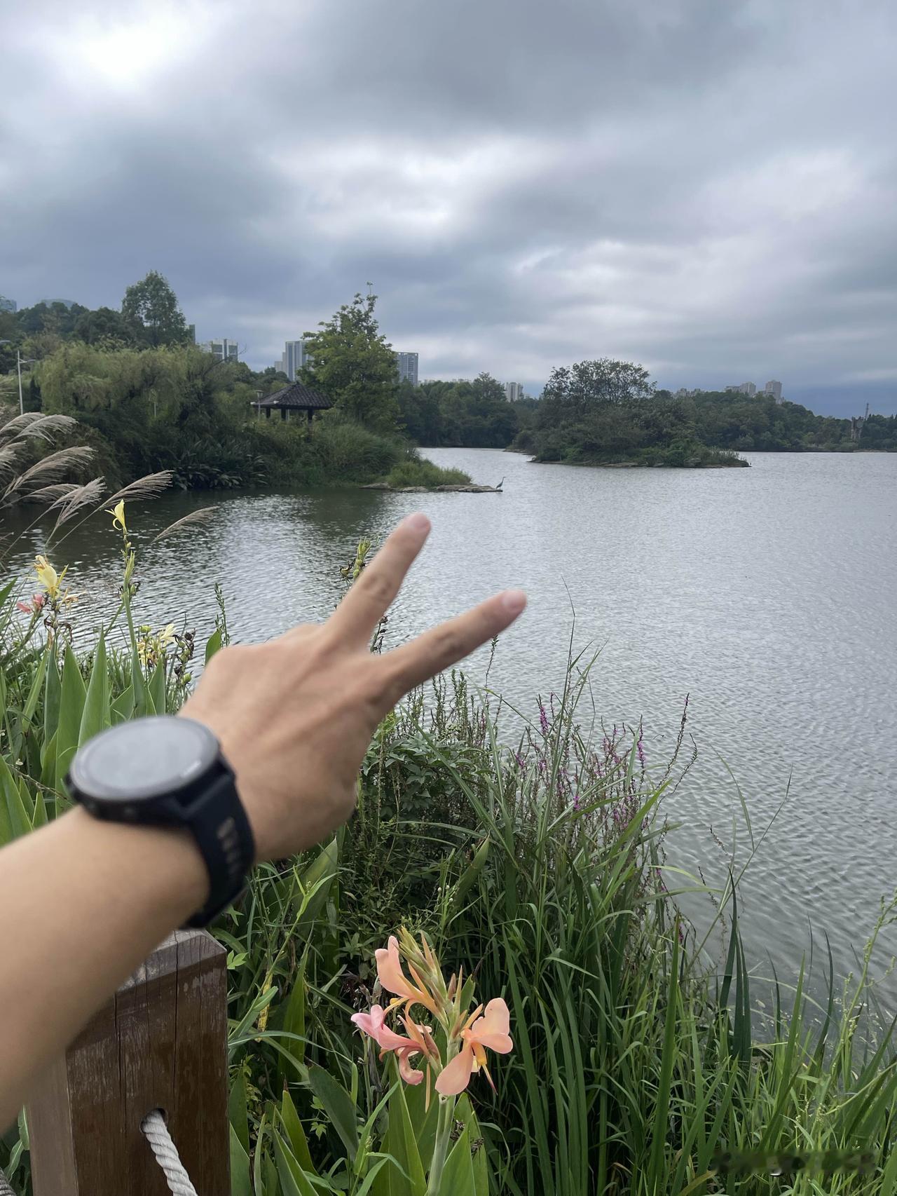 抛开昨日烦恼
重启美好一天
为自己多加油
为自己少内耗
不为世俗羁绊
每人无可替