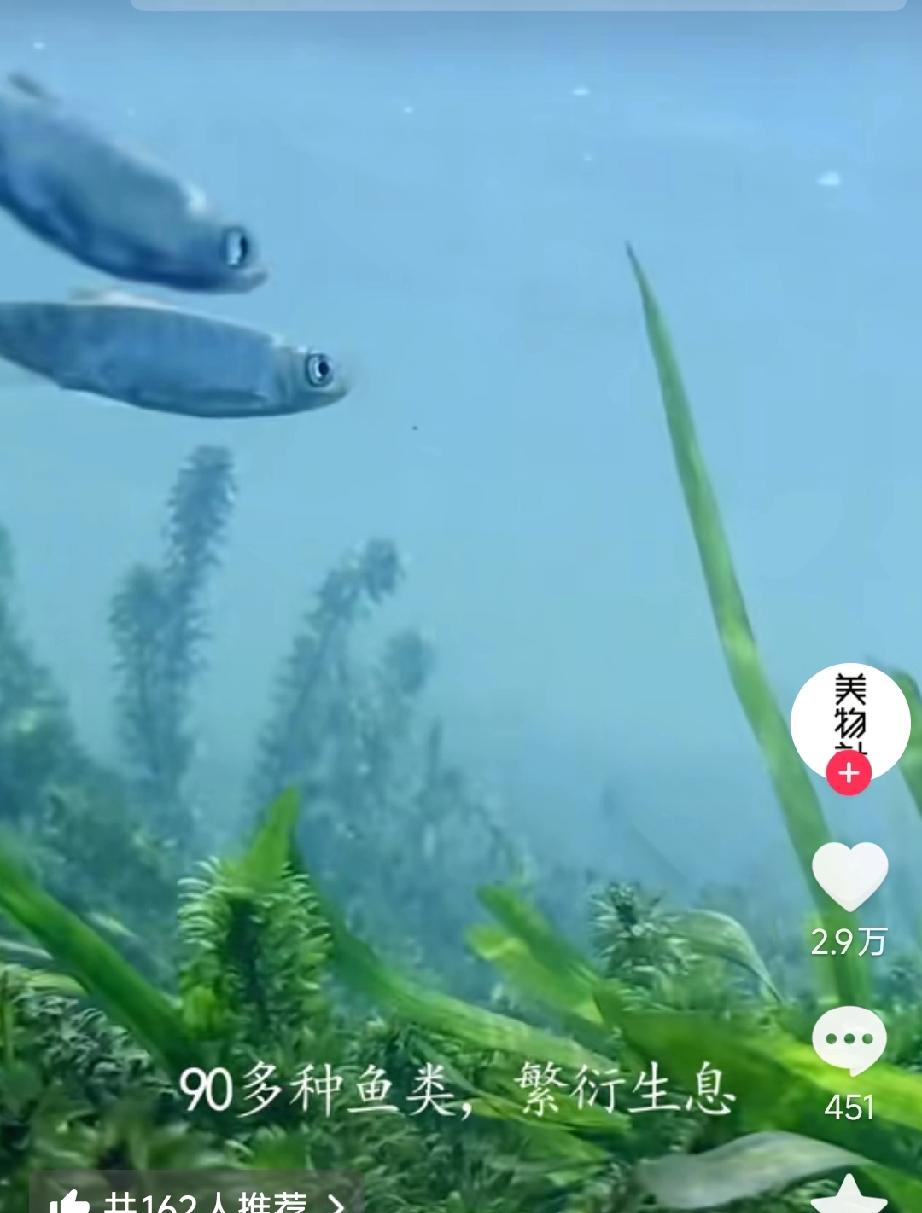 树靠根长,鱼靠水养,人靠啥?树扎根，鱼依水，人立于世确有双翼：一翼是五谷丰登的物