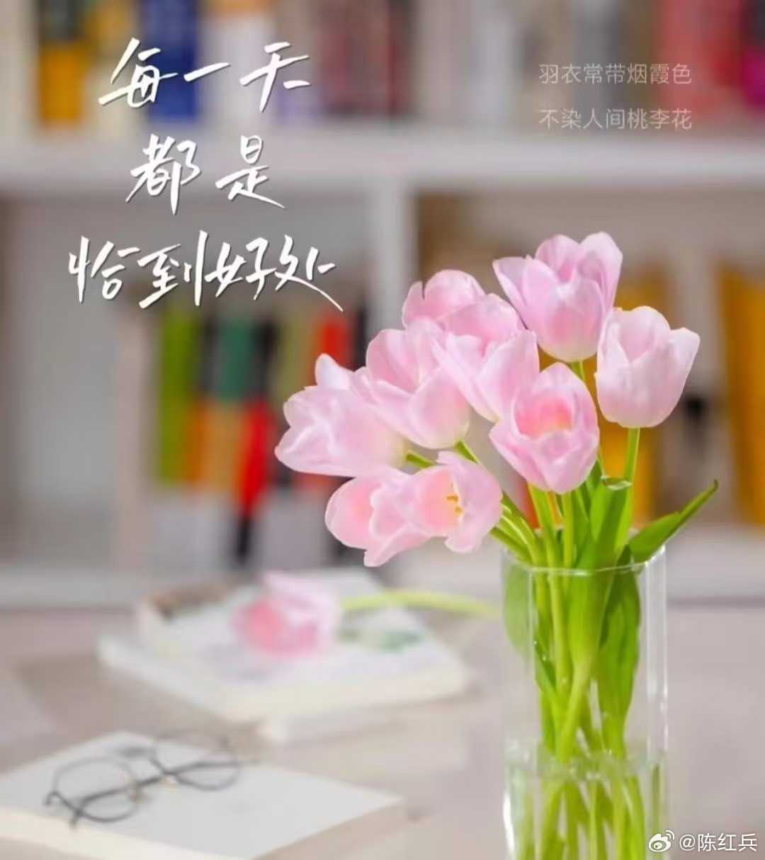 早上好，生活中最感动的时光，是平凡生活里每一天的坚持，保持对生活的热爱~ 