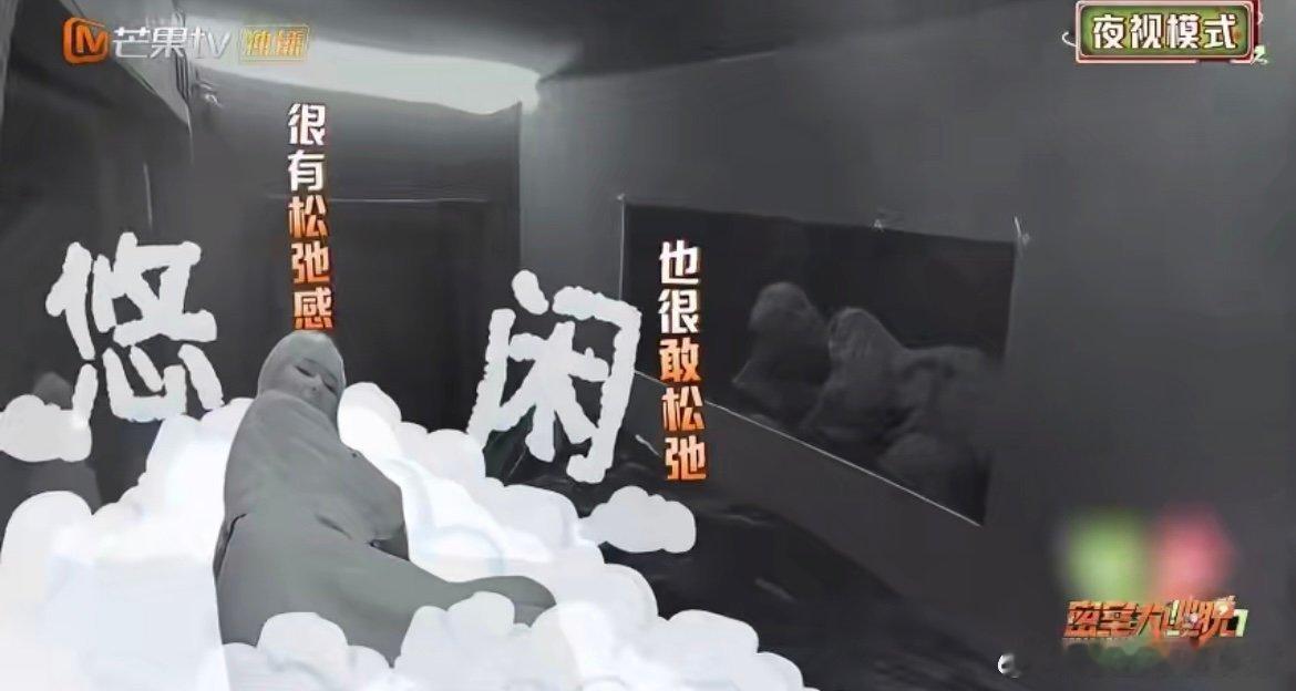 周笔畅再爬就要回北京了周笔畅密逃里状态好好！爬行时活力四射，松弛又可爱，不愧是全