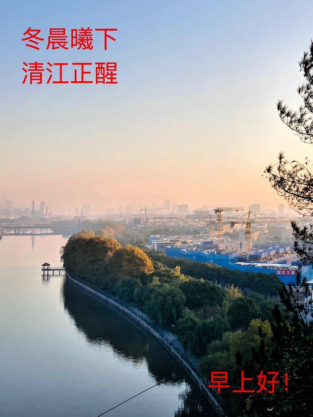 分享一张最近随手拍的照片