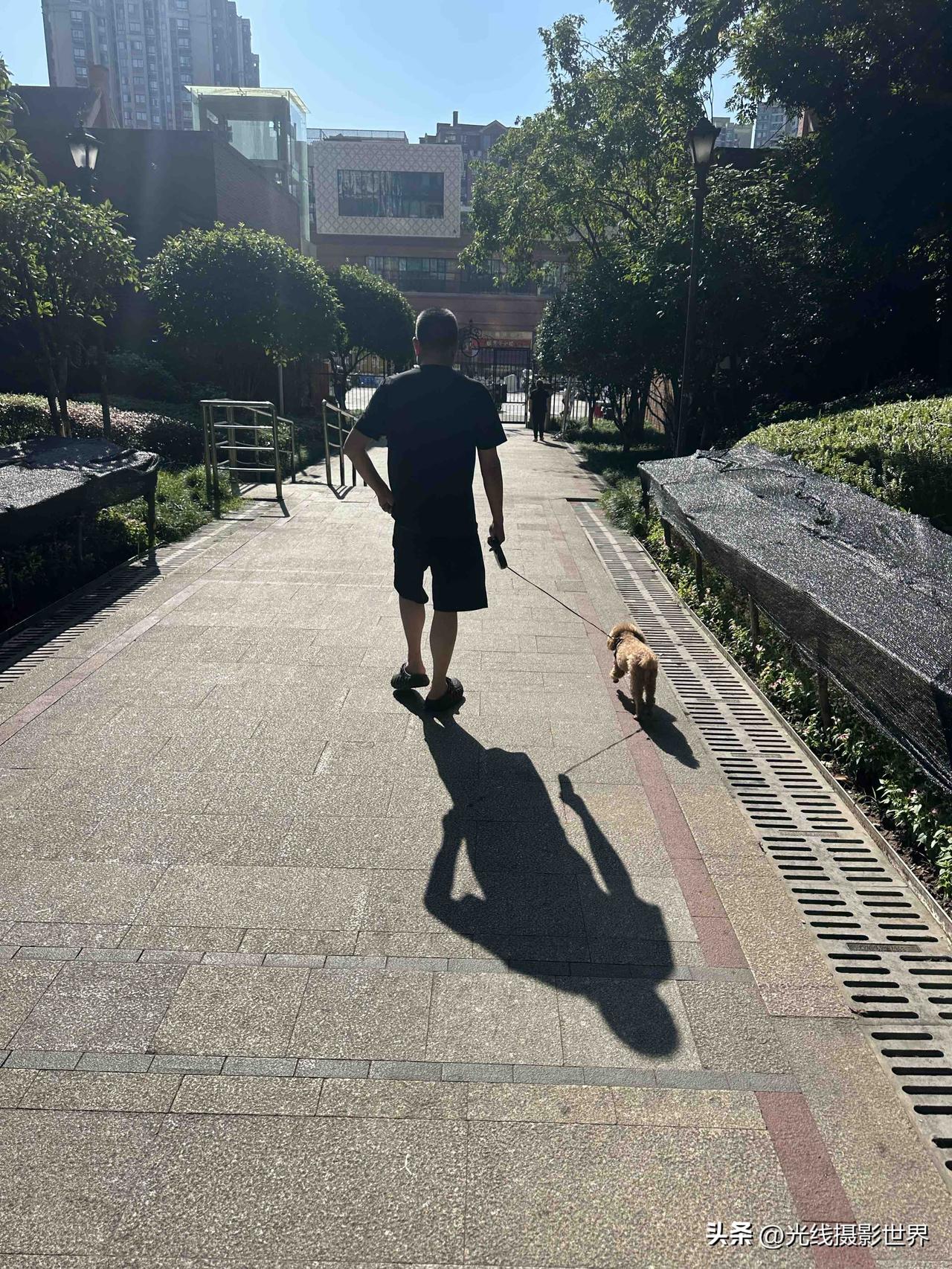 好奇怪啊！7月10日，今天上午10点，重庆主城区的风居然是清凉的，大树下居然不热